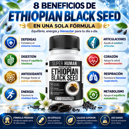 Descubre el potencial de la semilla negra